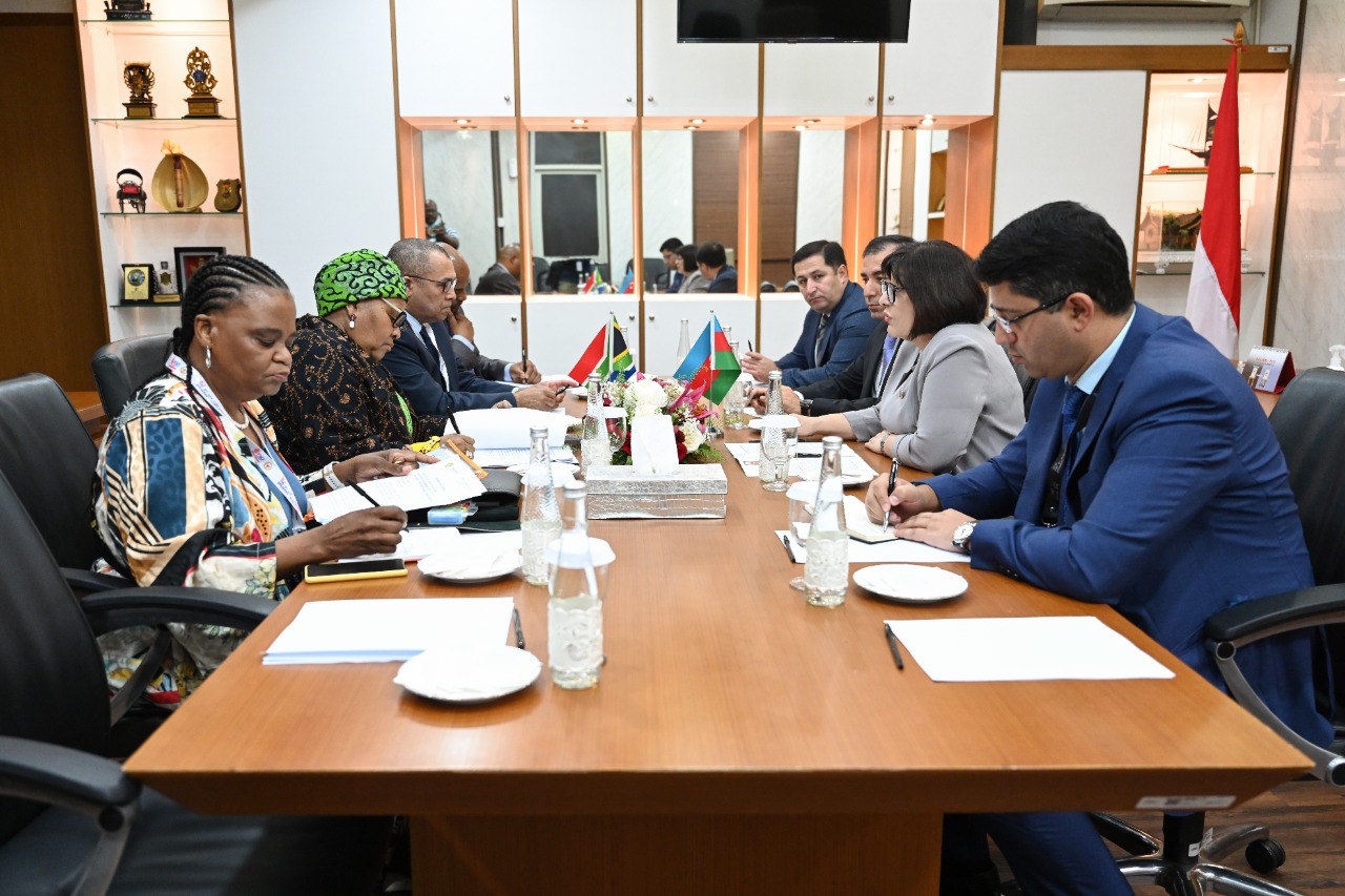 Milli Məclisin sədri Sahibə Qafarova Cənubi Afrika Respublikası Milli Assambleyasının sədri ilə görüşüb
