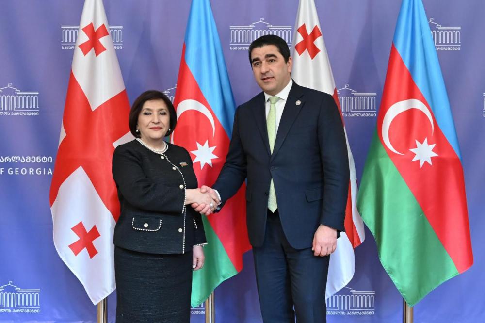 Milli Məclisin sədri Sahibə Qafarova Gürcüstan parlamentinin sədri Şalva Papuaşvili ilə görüşüb