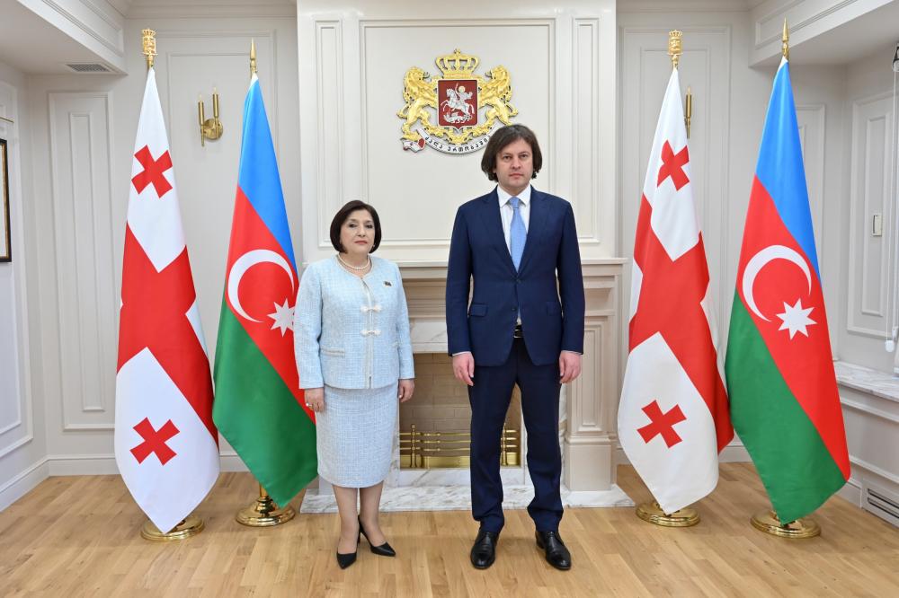 Milli Məclisin sədri Sahibə Qafarova Gürcüstanın Baş naziri İrakli Kobaxidze ilə görüşüb
