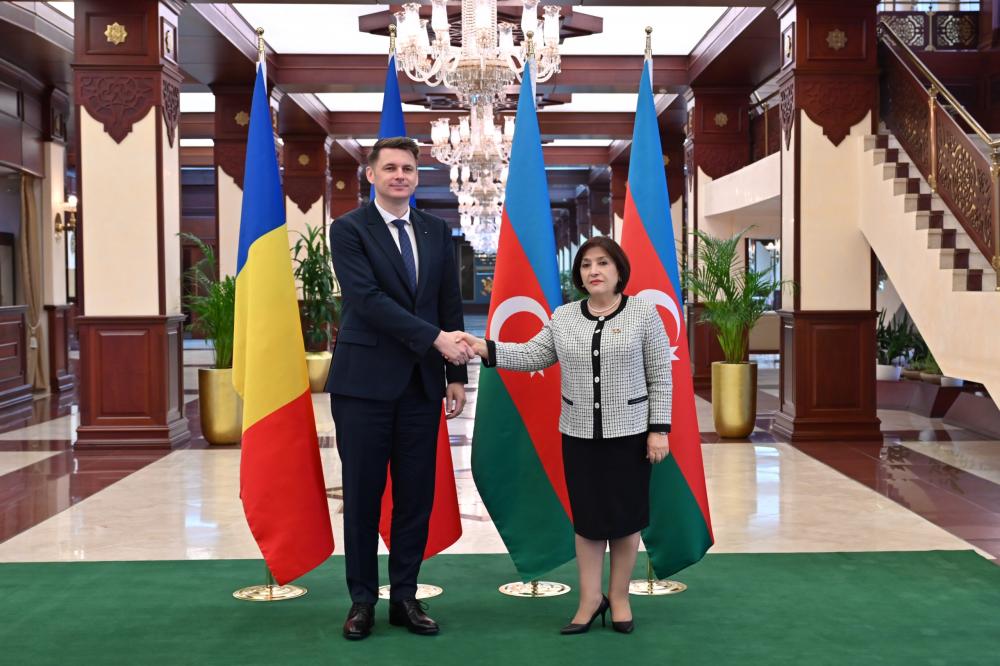 Milli Məclisin sədri Sahibə Qafarova Rumıniya Parlamenti Senatının nümayəndə heyəti ilə görüşüb
