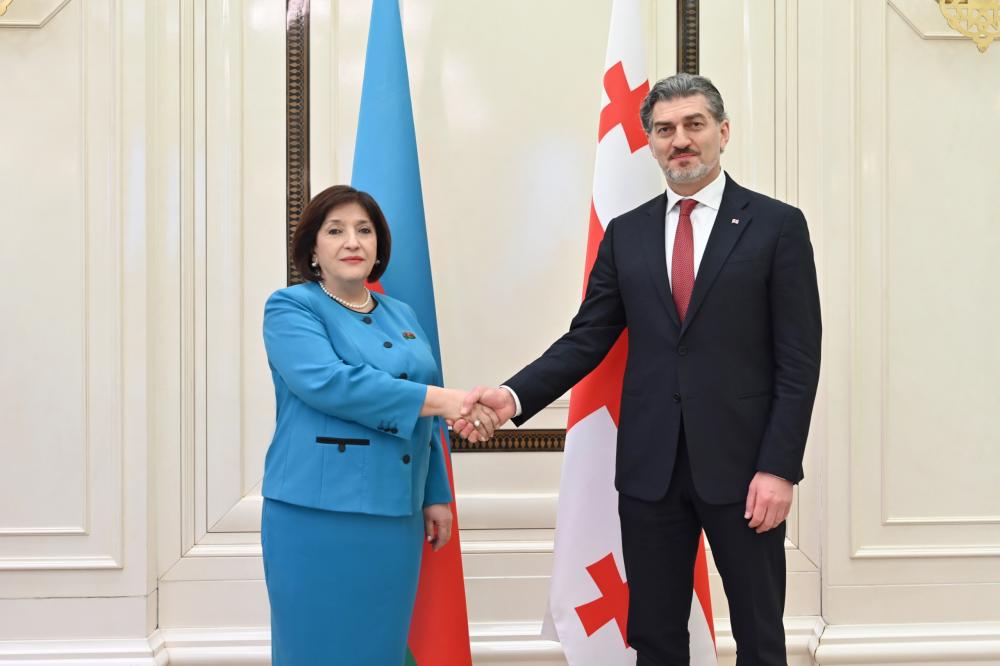 Milli Məclisin sədri Sahibə Qafarova Gürcüstan Prezidenti ilə görüşüb