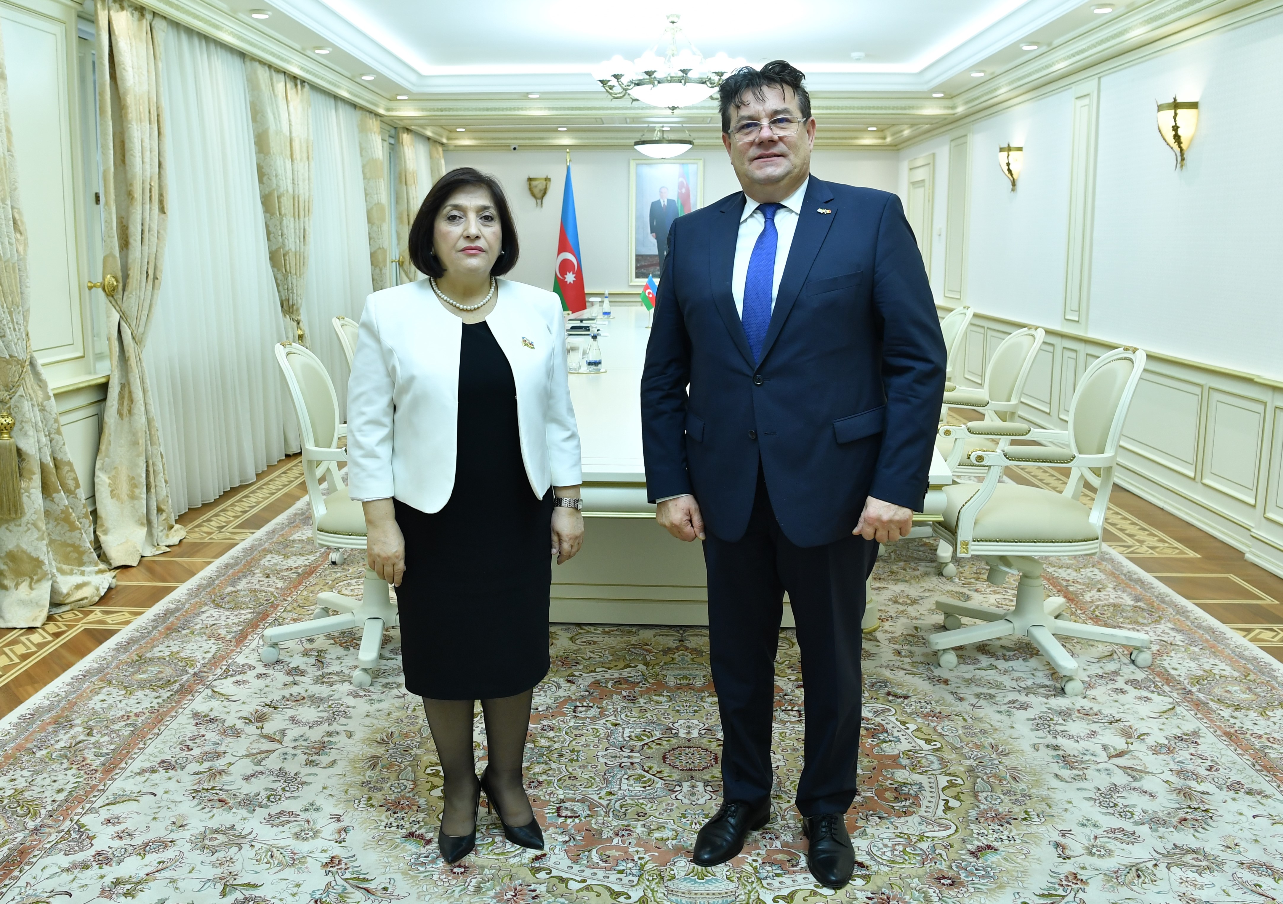 Председатель Милли Меджлиса Сагиба Гафарова встретилась с послом Румынии в нашей стране