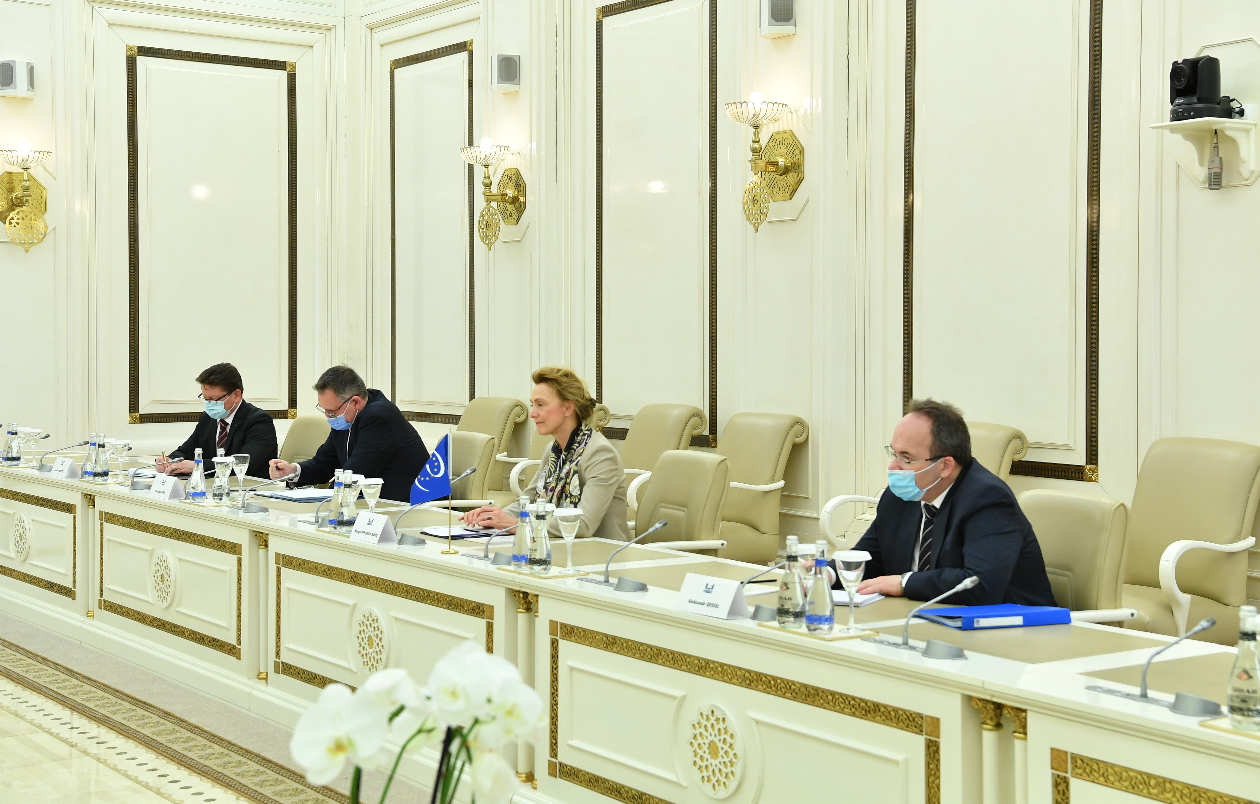 Председатель Милли Меджлиса Сагиба Гафарова встретилась с генеральным секретарём Совета Европы