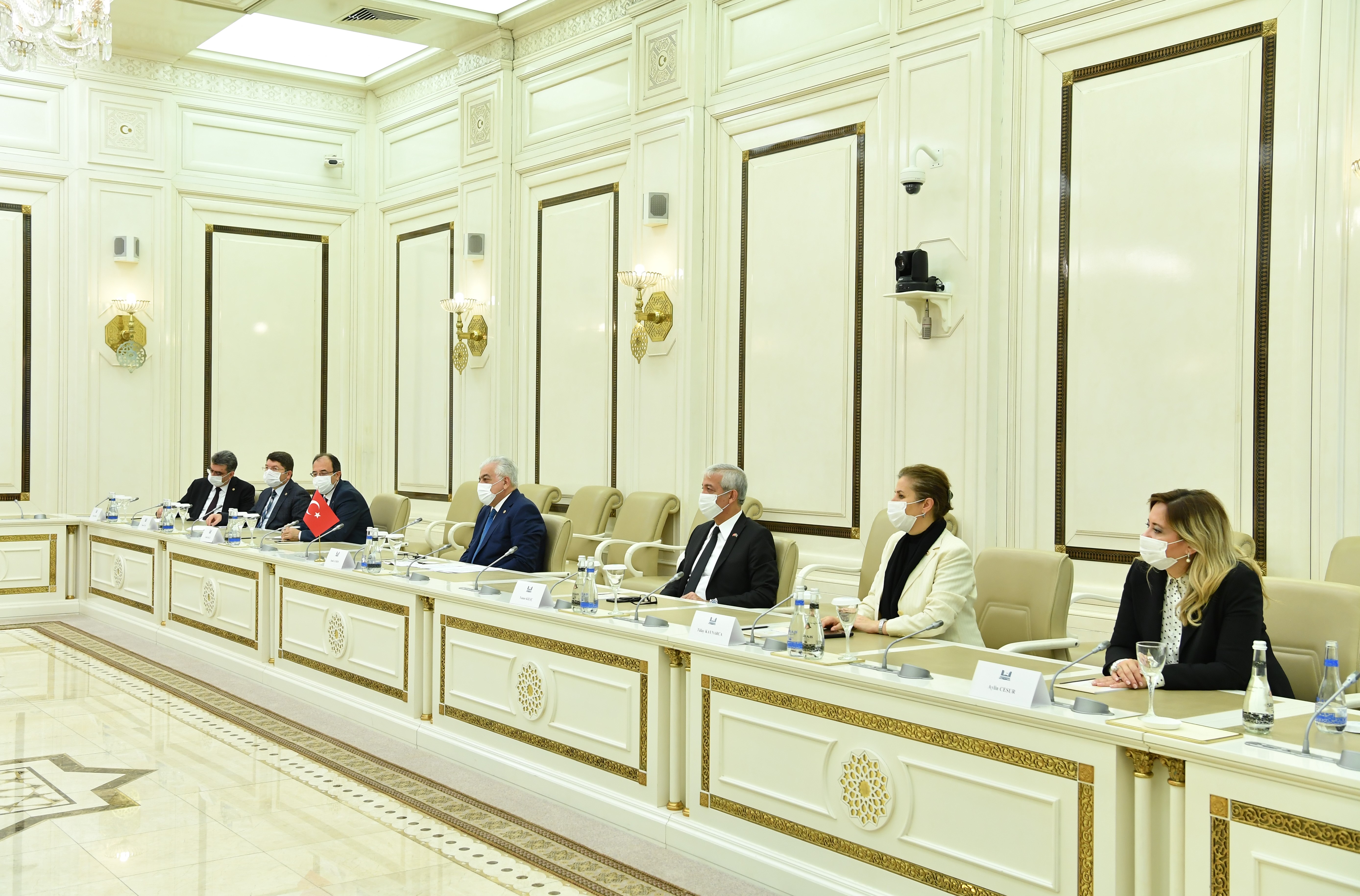 Chair of Milli Majlis Sahiba Gafarova Meets Members of GNAT Group of Friendship with Azerbaijan