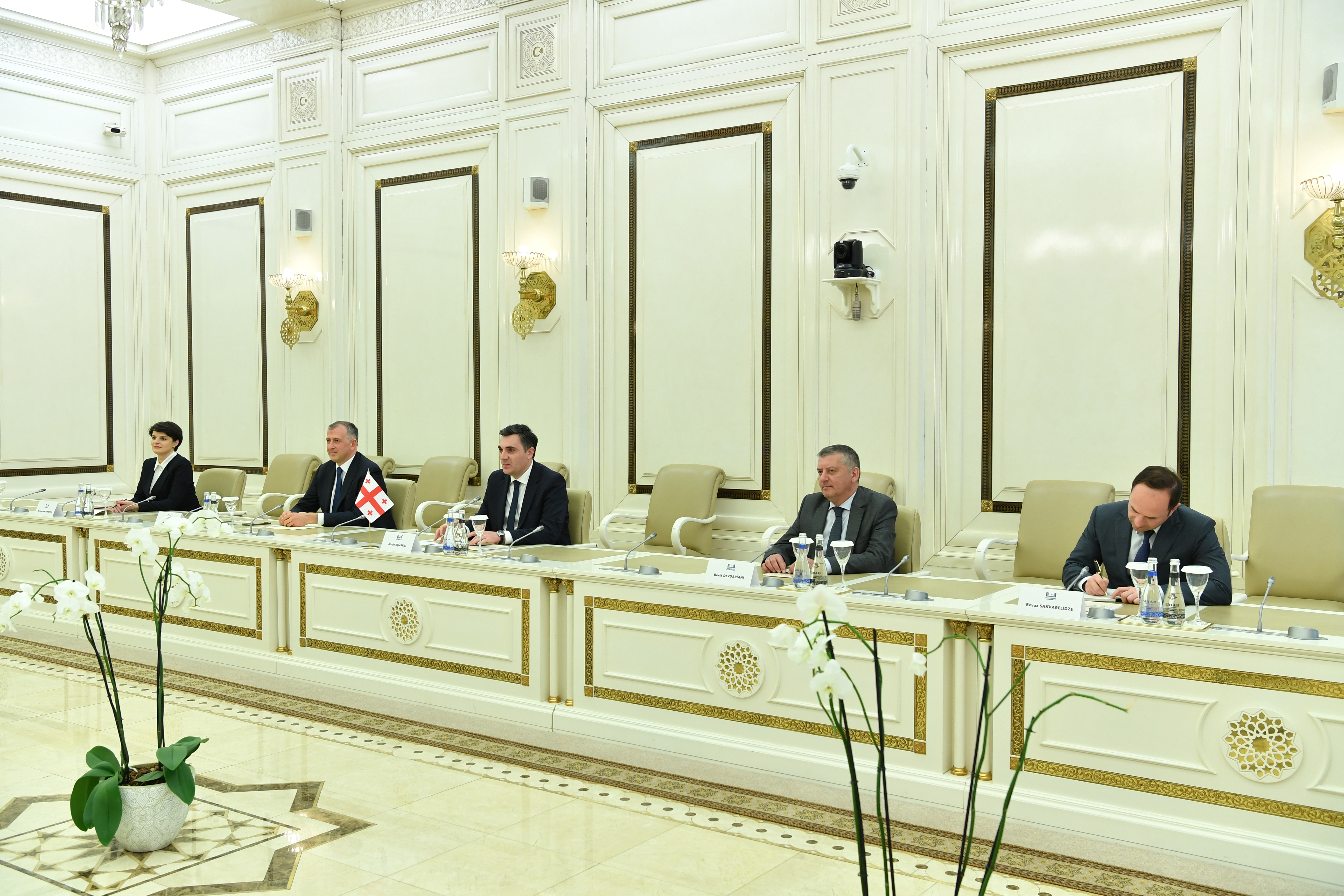 Председатель Милли Меджлиса Сагиба Гафарова встретилась с министром иностранных дел Грузии 